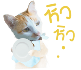 What Dose The Cat Say? sticker #12936716