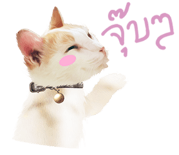 What Dose The Cat Say? sticker #12936717