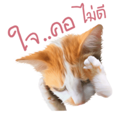 What Dose The Cat Say? sticker #12936722