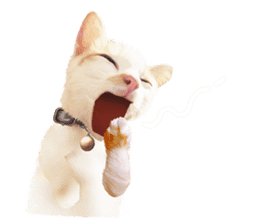 What Dose The Cat Say? sticker #12936723