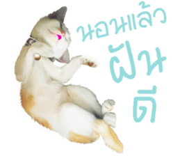 What Dose The Cat Say? sticker #12936724
