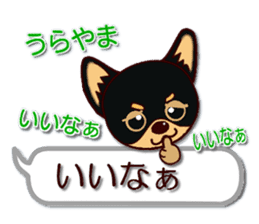 Pretty Chihuahua No.2 sticker #12936950