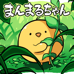 Manmaru-chan,DailyConversation