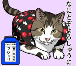 Nyanko school(PART2) sticker #12939872