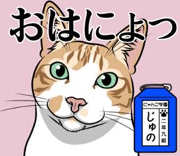 Nyanko school(PART2) sticker #12939899