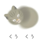 CATS! CATS! CATS! sticker #12941418