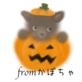 CATS! CATS! CATS! sticker #12941429