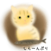 CATS! CATS! CATS! sticker #12941435