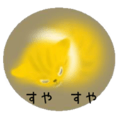 CATS! CATS! CATS! sticker #12941439