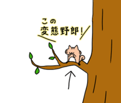 Squirrel easily flatterd. sticker #12948521