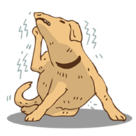 Mai Muan & Yellow Tiger sticker #12948936