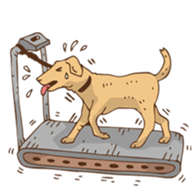 Mai Muan & Yellow Tiger sticker #12948940