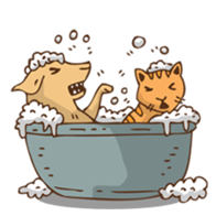 Mai Muan & Yellow Tiger sticker #12948941