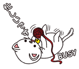Shironeko tama sticker #12950040