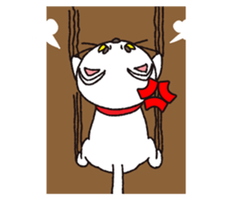 Shironeko tama sticker #12950043