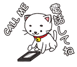 Shironeko tama sticker #12950046