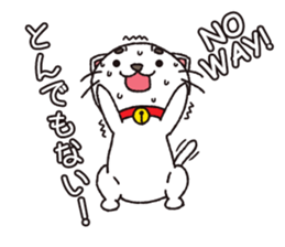 Shironeko tama sticker #12950049