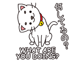 Shironeko tama sticker #12950052