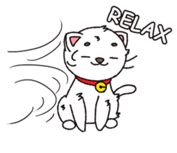 Shironeko tama sticker #12950061