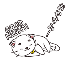 Shironeko tama sticker #12950065