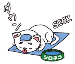 Shironeko tama sticker #12950070