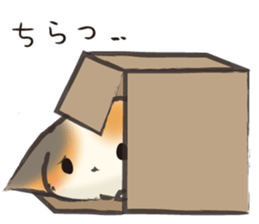 SoftCat Vol.4 sticker #12950457