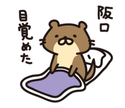 Sakaguchi-san sticker #12950558