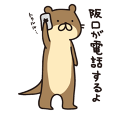 Sakaguchi-san sticker #12950594