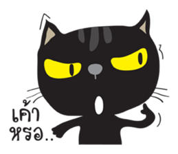 Black Cat Indy 2 sticker #12952808
