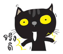 Black Cat Indy 2 sticker #12952810