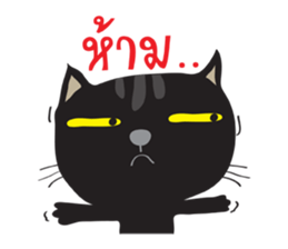 Black Cat Indy 2 sticker #12952817