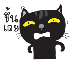 Black Cat Indy 2 sticker #12952818