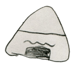 Riceballstickers made by a girl7yearsold sticker #12957582