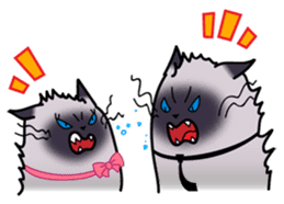 Siamese cats in love (N.3) by trikono sticker #12958274