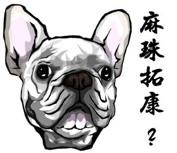 Xiu Box NO.3. sticker #12959457