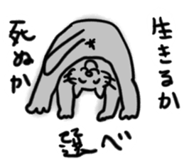 rinko chan sticker #12960095