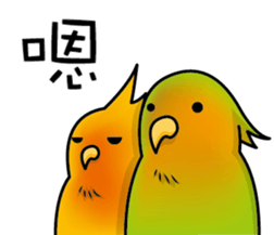 two noise birds. sticker #12960199