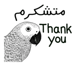 KASKO (FARSI) sticker #12963198