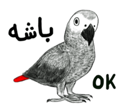 KASKO (FARSI) sticker #12963199