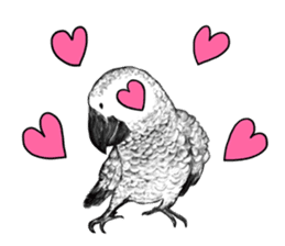 KASKO (FARSI) sticker #12963200