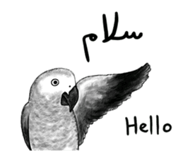 KASKO (FARSI) sticker #12963201