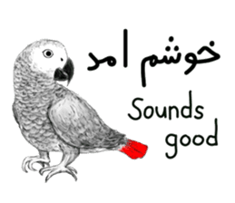 KASKO (FARSI) sticker #12963202