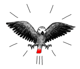 KASKO (FARSI) sticker #12963203