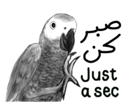 KASKO (FARSI) sticker #12963204