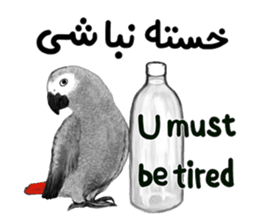 KASKO (FARSI) sticker #12963205