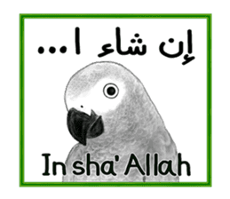 KASKO (FARSI) sticker #12963206