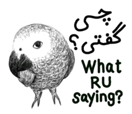 KASKO (FARSI) sticker #12963208