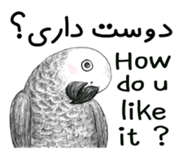 KASKO (FARSI) sticker #12963210