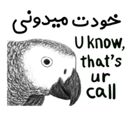KASKO (FARSI) sticker #12963213