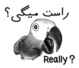 KASKO (FARSI) sticker #12963214